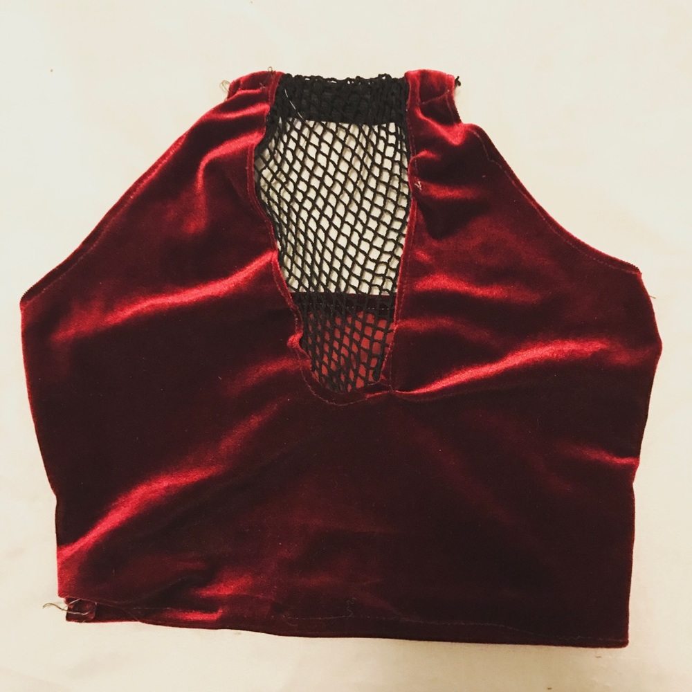 Fish net, velvet crop top