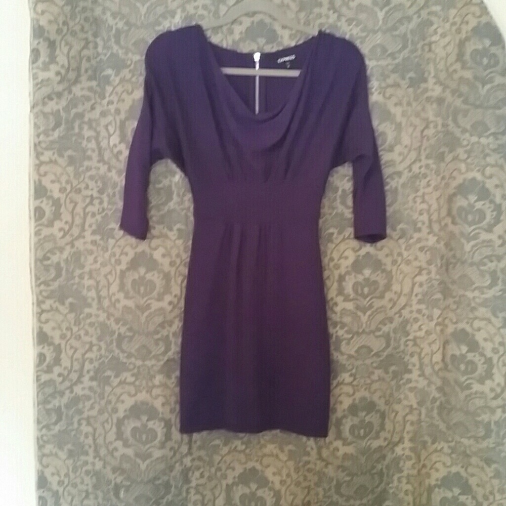 Express sweater dress