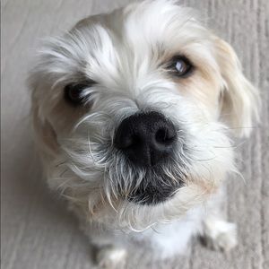 Meet your Posher, Julia