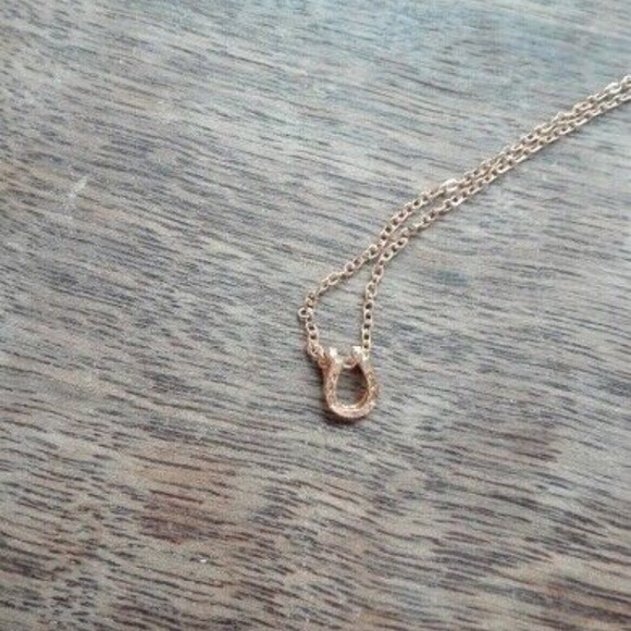 💚 Lucky Horse Shoe dainty pendant necklace - Picture 3 of 6