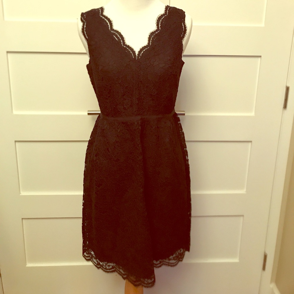 Ann Taylor Loft Lace V-Neck Dress