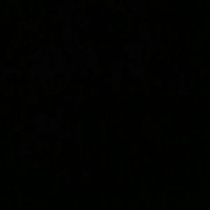 Meet your Posher, Samuel