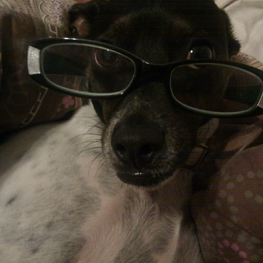 Meet your Posher, Maggie