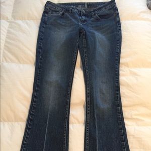 American Rag Bootcut Blue Jeans