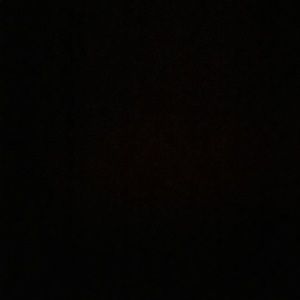 Meet your Posher, Shelby