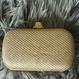 Windsor glitter soft Champagne clutch