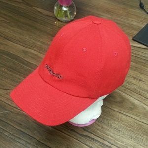 patagonia flexfit