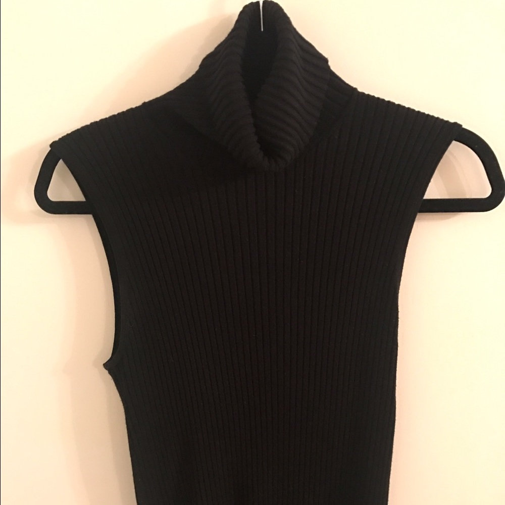 Express Short Sleeve Turtleneck Sweater