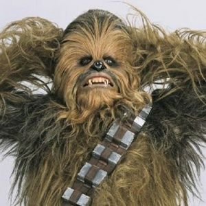 Meet your Posher, Cody