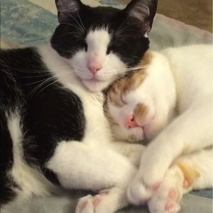 Meet your Posher, Kim