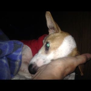 Meet your Posher, Lois