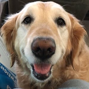 Meet your Posher, Meredith