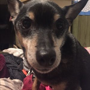 Meet your Posher, Amy