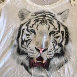 Meet your Posher, Cynthia