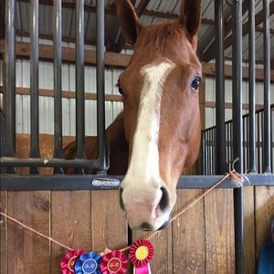 Meet your Posher, Kylee