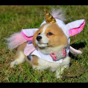 Meet your Posher, Ron