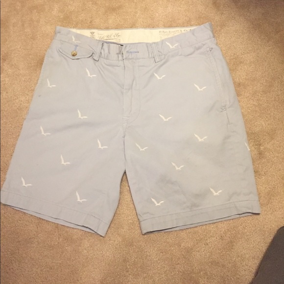 Polo Ralph Lauren Other - POLO Ralph Lauren Men's Summer Shorts (32 W)