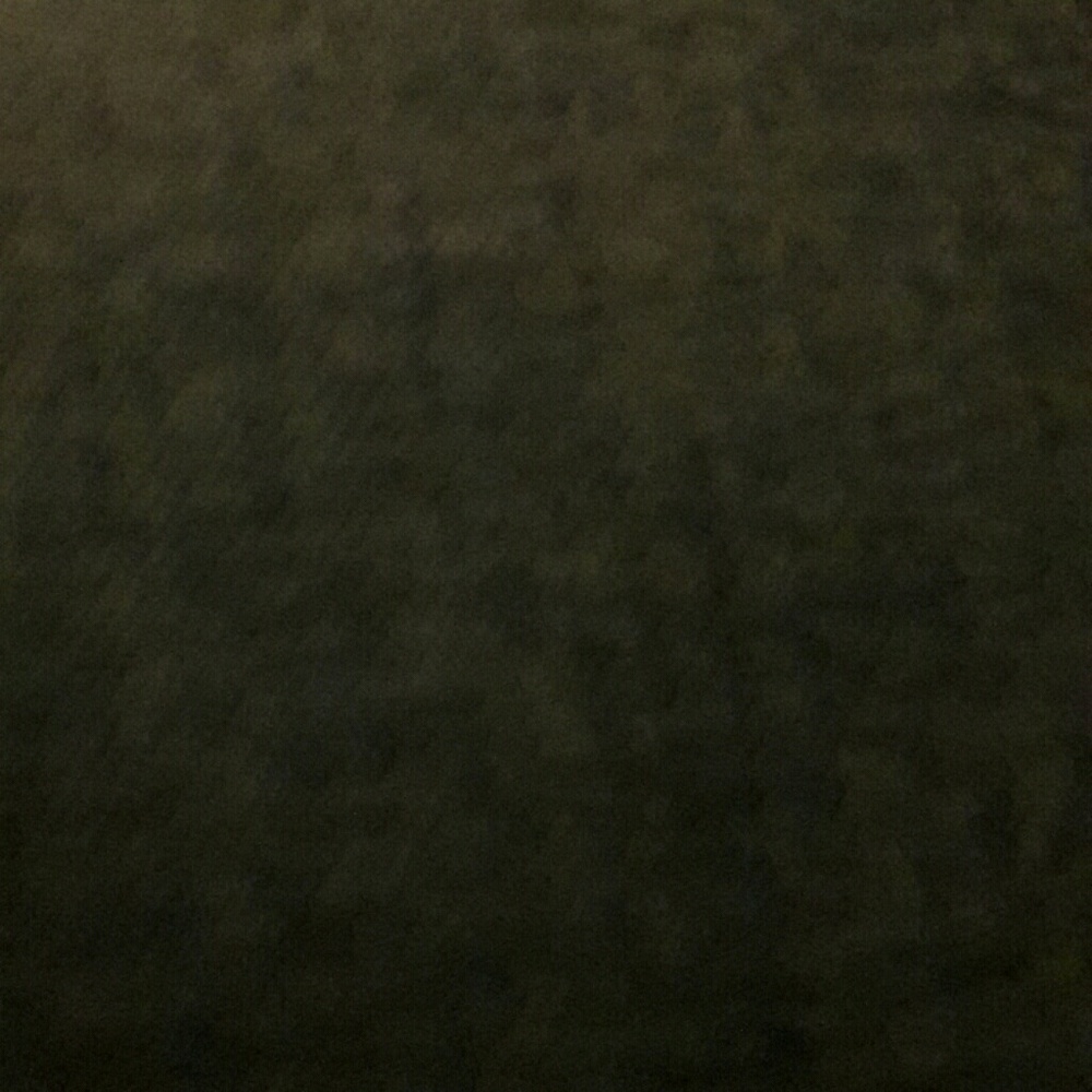 Meet your Posher, Lily