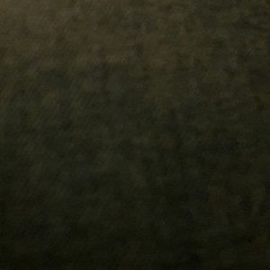 Meet your Posher, Lily