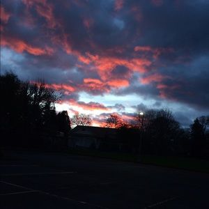 Meet your Posher, Jasmin