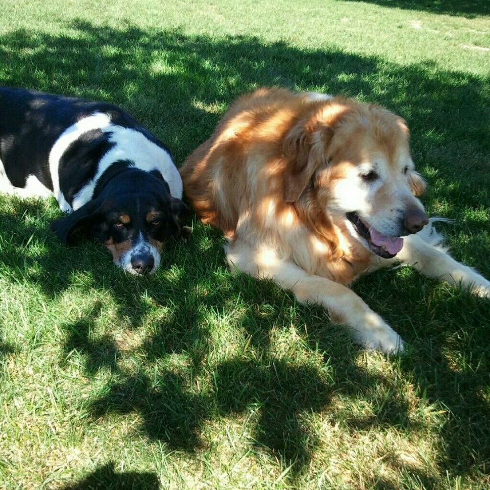 Meet your Posher, Trish