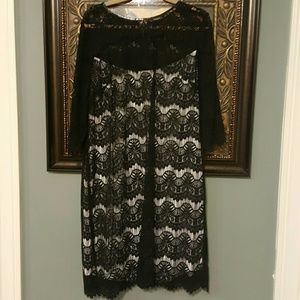 Calvin Klein black lace dress, white slip NWT