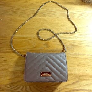 BCBG Purse