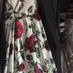 Meet your Posher, Marcella