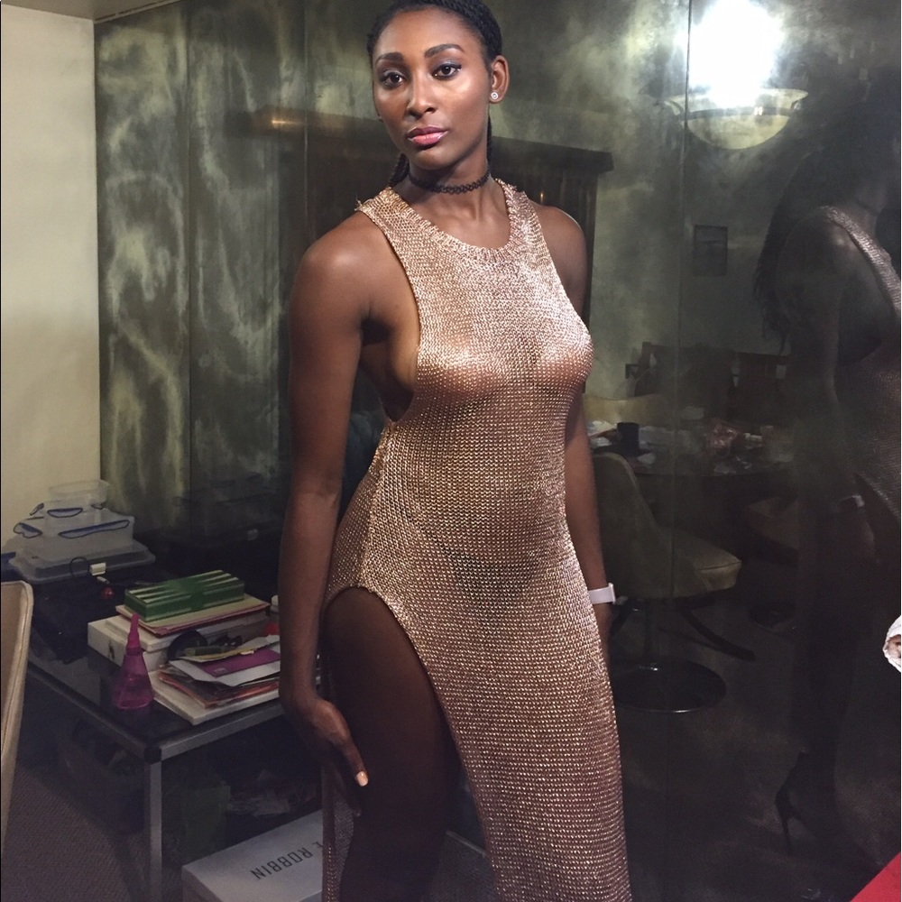 Semi Sheer Rosegold Mesh Dress - Picture 2 of 3