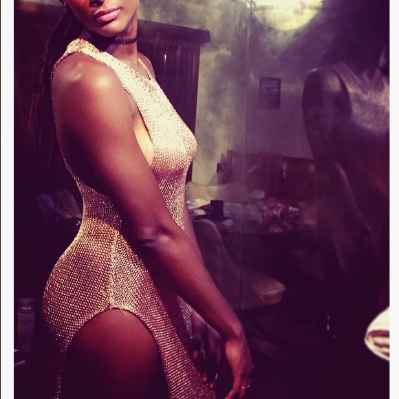 Semi Sheer Rosegold Mesh Dress - Picture 3 of 3