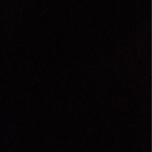 Meet your Posher, Joey