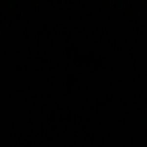 Meet your Posher, Freddie