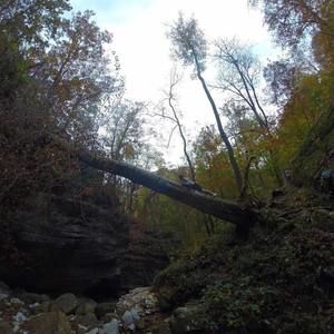 Meet your Posher, Steve