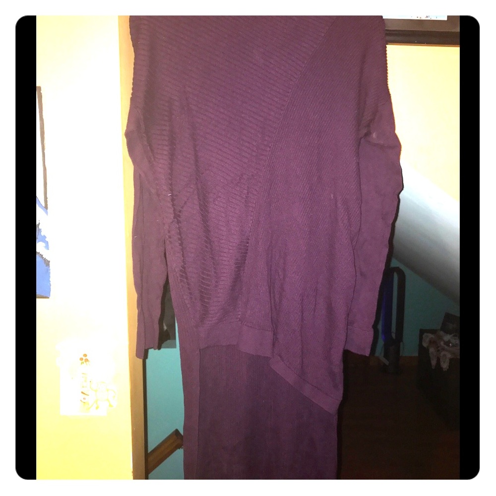 Express Ribbed Tunic Sweater