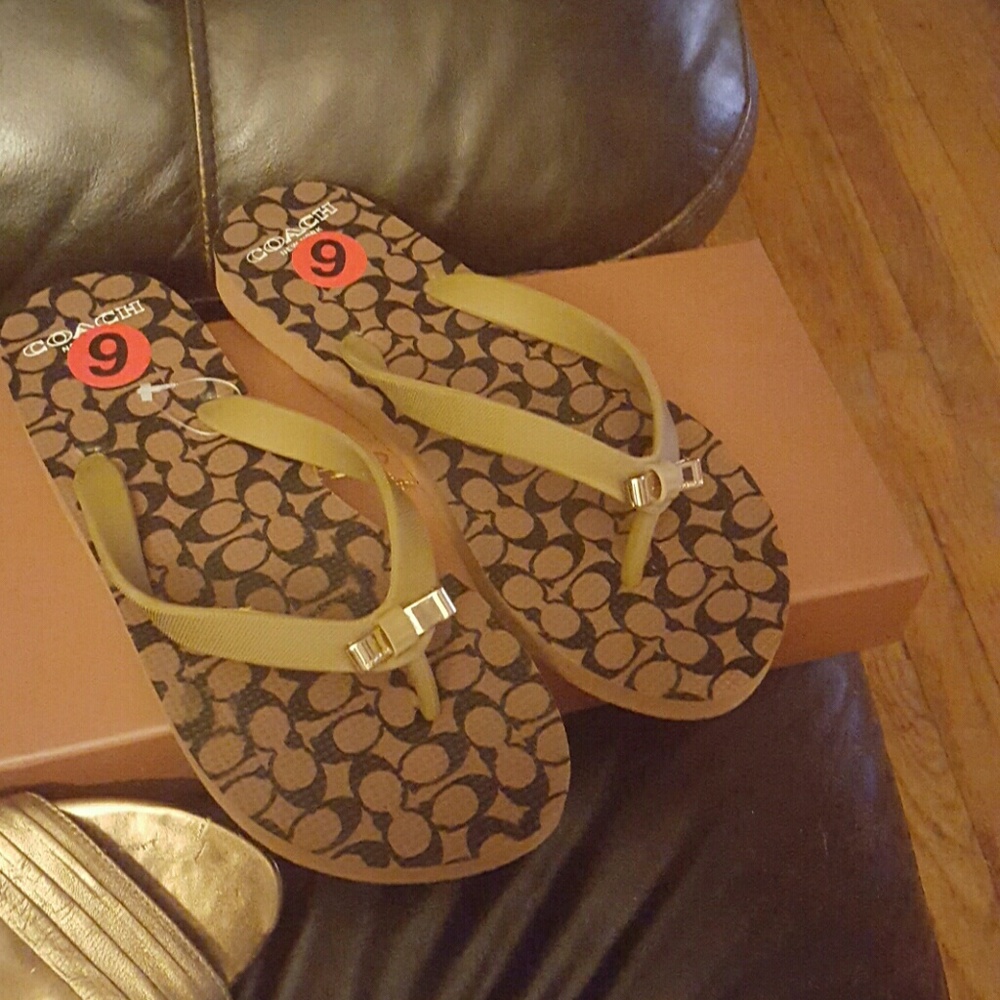 Coach slippers