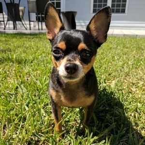 Meet your Posher, Marta