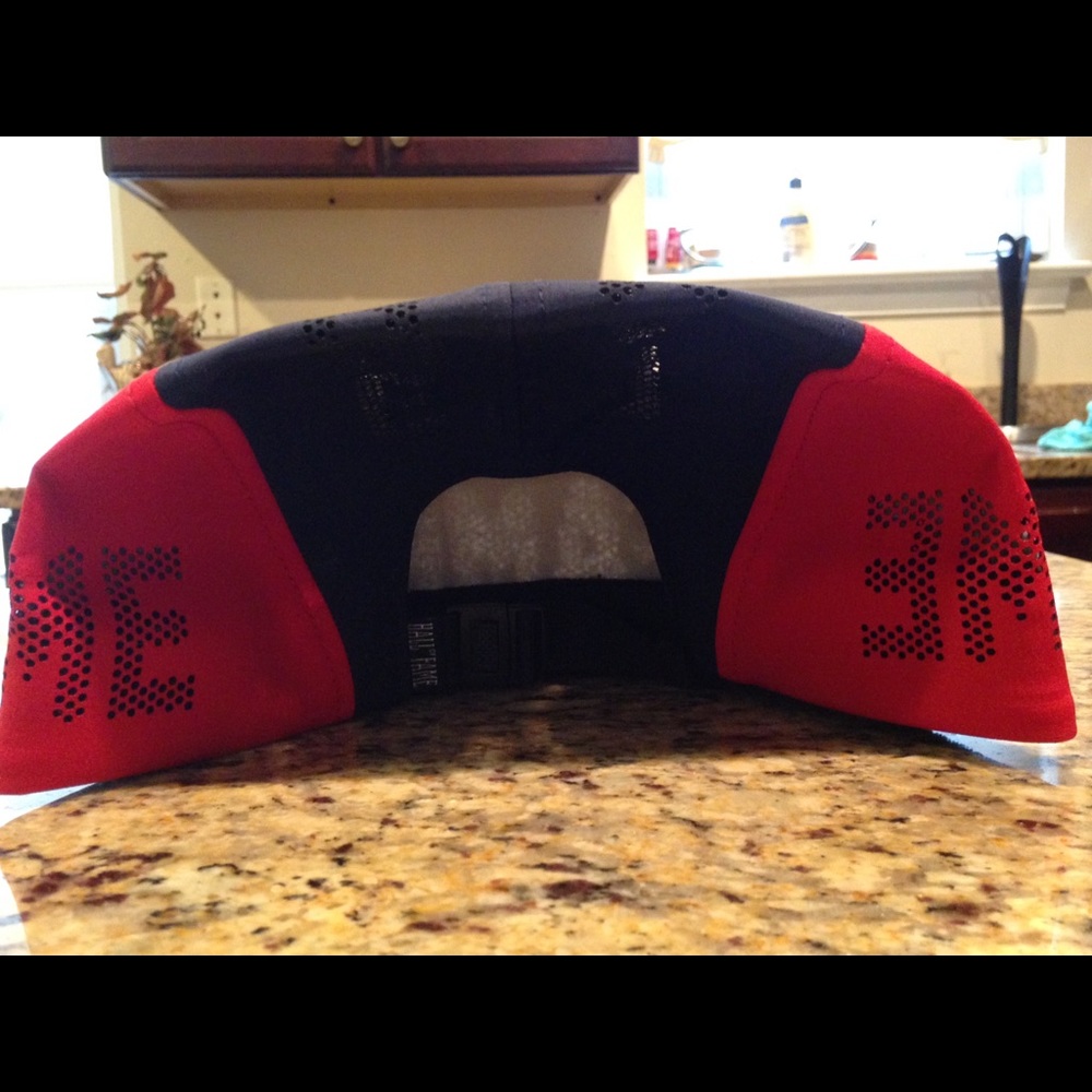 Brand new Fame Panel hat