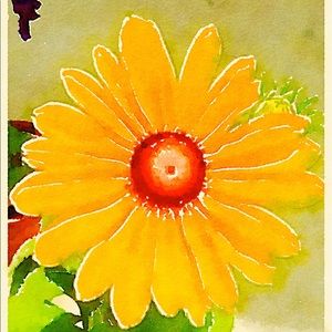 Meet your Posher, Kay