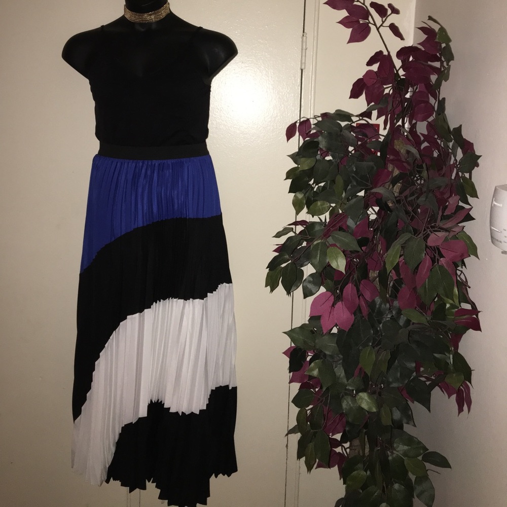 Color block pleated skirt