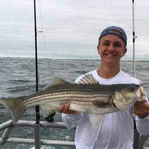 Meet your Posher, Danny