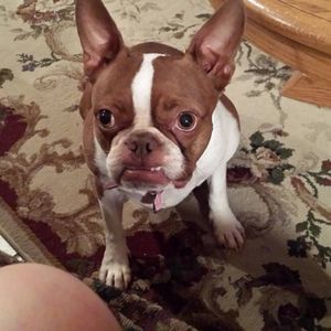 Meet your Posher, Betty