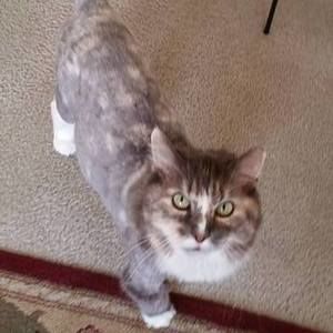 Meet your Posher, Phyllis