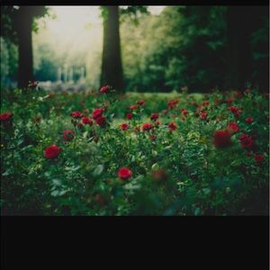 Meet your Posher, Arlene