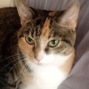 Meet your Posher, Maddie