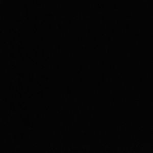 Meet your Posher, Parrish