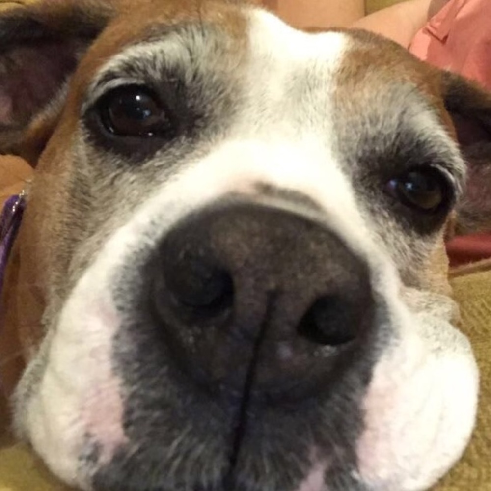 Meet your Posher, Madison