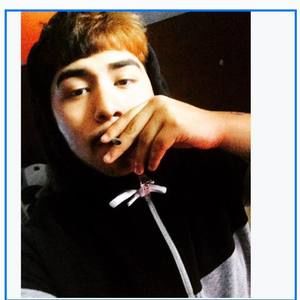 Meet your Posher, Hector