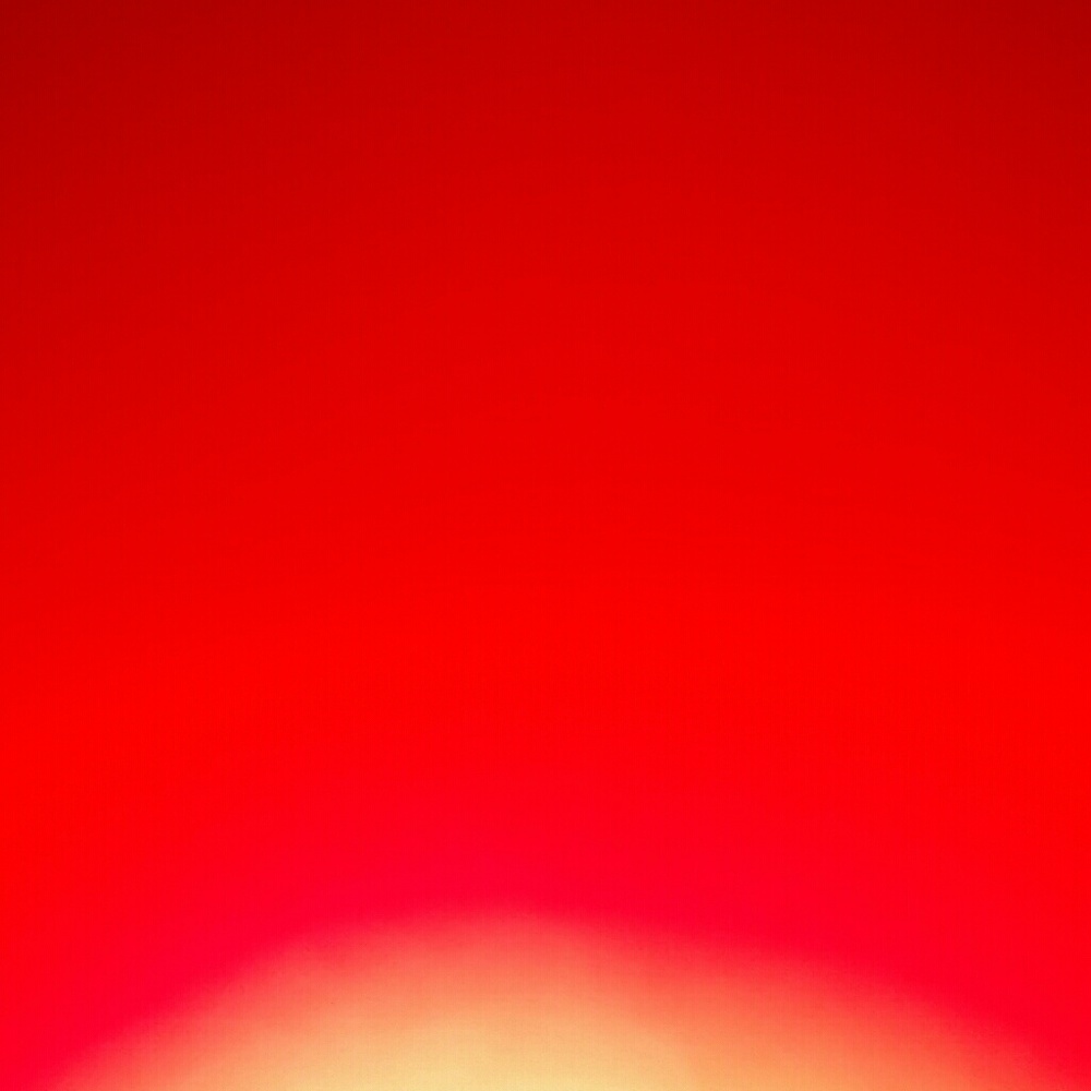 Meet your Posher, Gisele