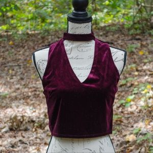 NWOT Burgundy velvet choker crop top