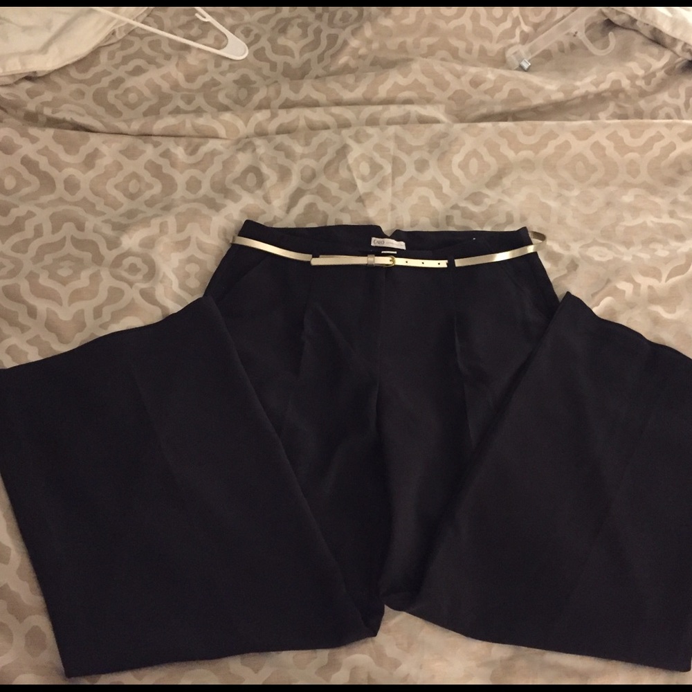NWOT wide leg pleated trousers